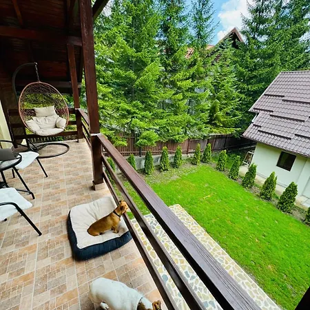 Ollie'S Mountain Chalet Busteni Exterior photo