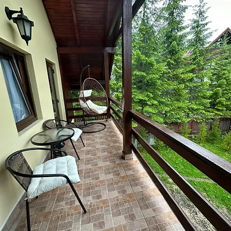 Ollie'S Mountain Chalet Busteni Exterior photo